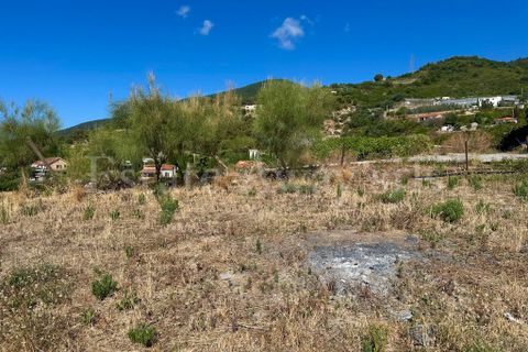 Landejendom i Ospedaletti, Imperia, Ospedaletti - € 330.000 | Ref: EM1312 - foto 7